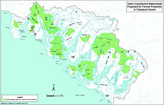 Clayoquot intact unprotected areas