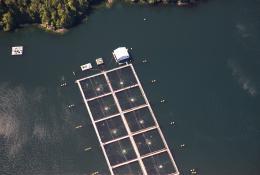 WS:FishFarmAerial