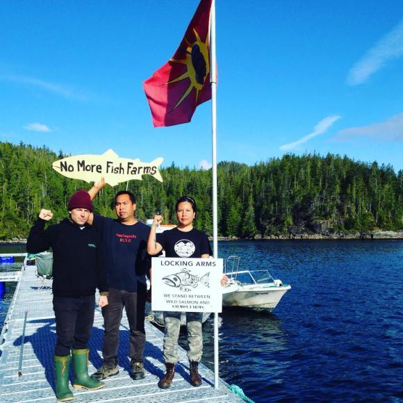 FOCS supports Warriors of Yaakswiis during the action to evict Cermaq's fish farm from Ahousaht territory.