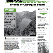 Summer2015newsletter