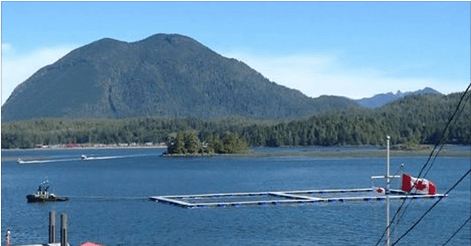 Ahousaht Chiefs announce salmon farm initiatives