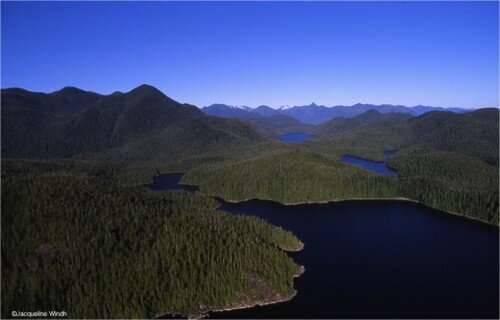 Photo: Intact Pretty Girl area in northern Clayoquot Sound