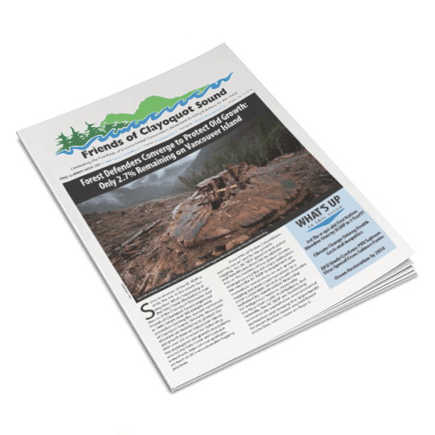 Summer 2021 Newsletter OUT NOW!