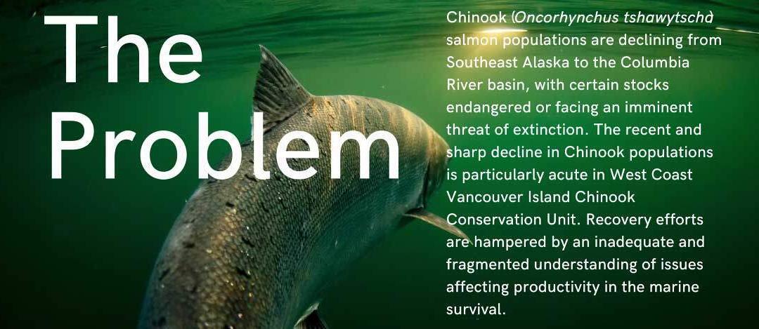 Clayoquot Salmon Roundtable Marine Risk Assessment: Special Reportback