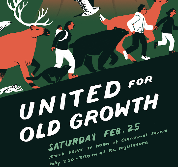 Protect Old Growth March and Super-Rally: Saturday February 25 at the B.C. Legislature