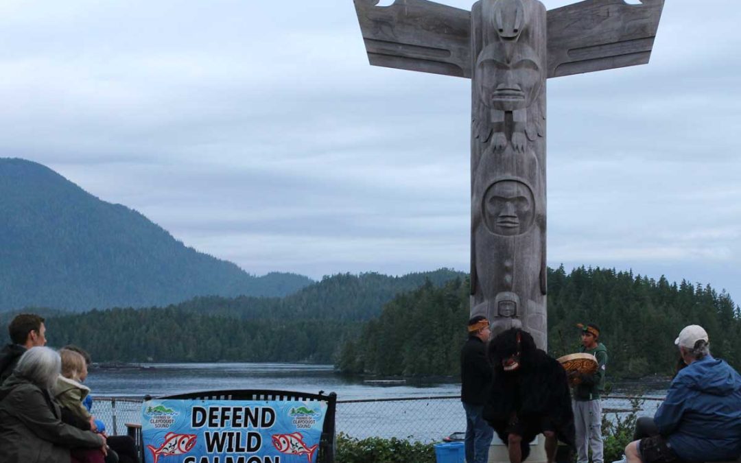 Building Community + Remembering What’s Important at the Clayoquot Salmon Festival