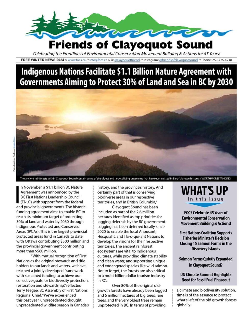 Read + Share the FOCS Winter Newsletter! Friends Of Clayoquot Sound